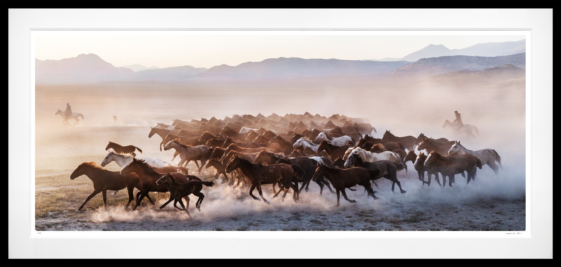 The Unit (Colour) framed, 56" x 118" (Large)