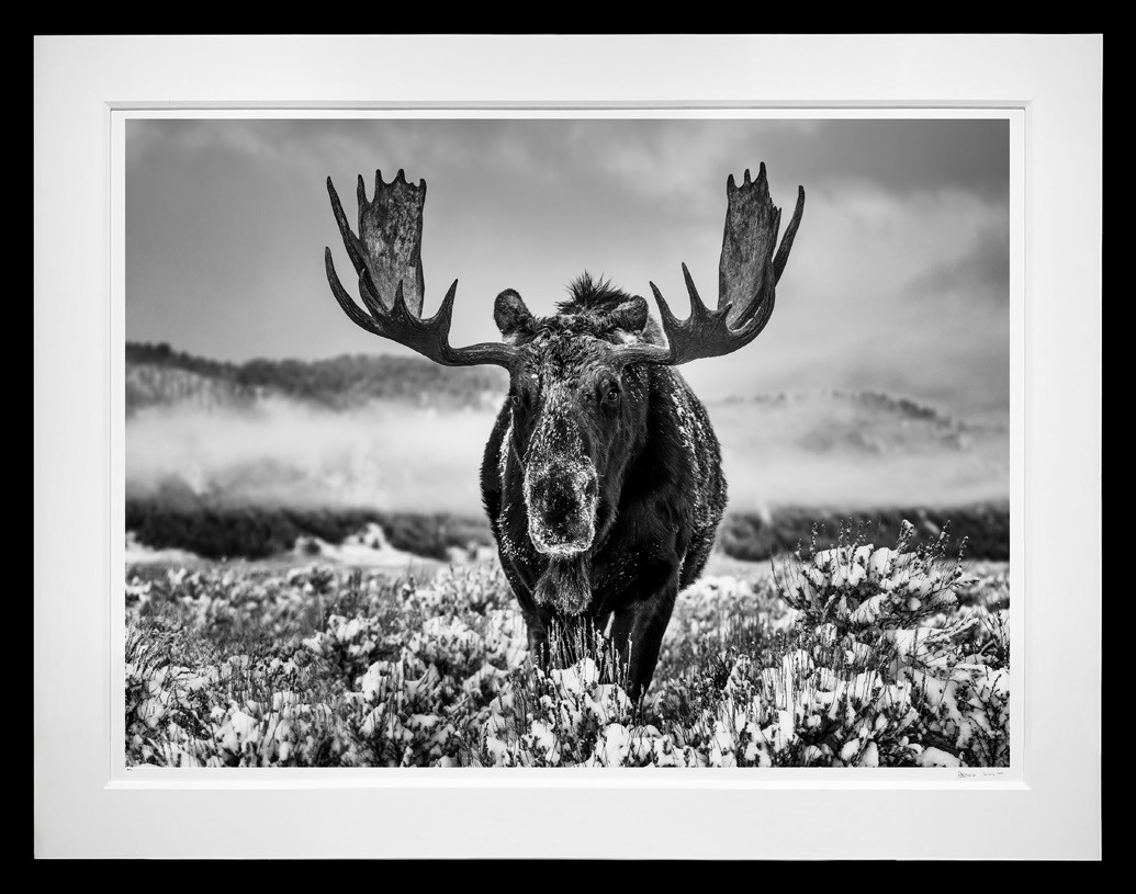 The Winter Season framed, 71" x 92" (Large)