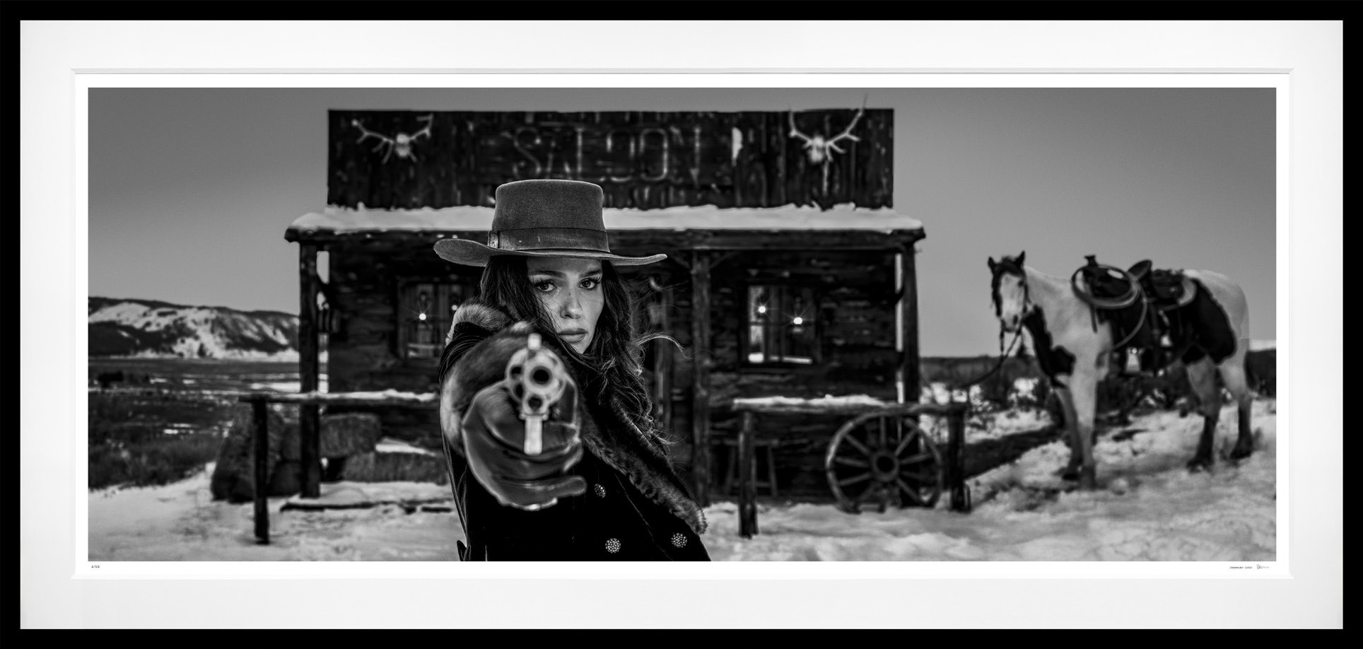 Twilight (B&W) framed, 56" x 118" (Large)