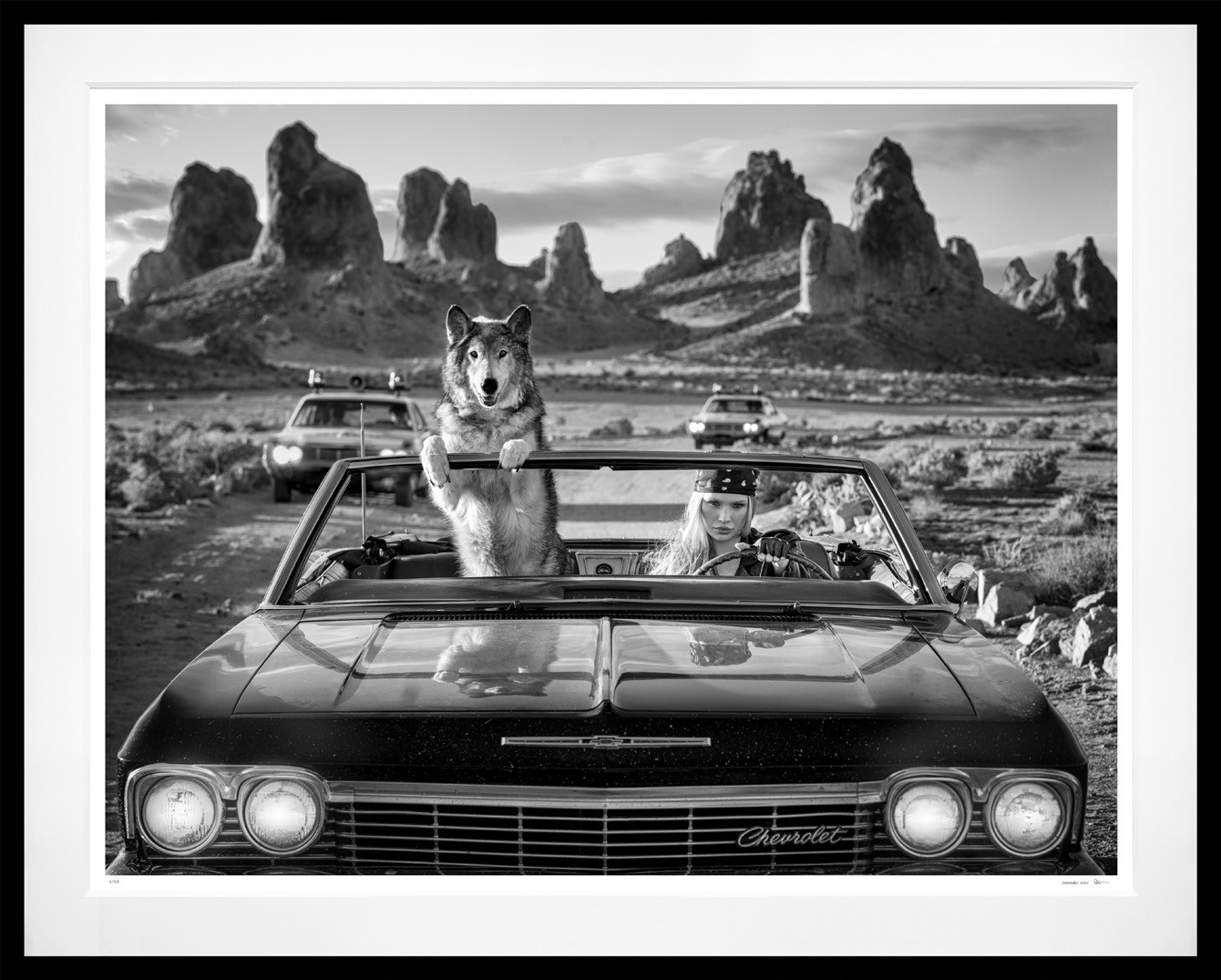 Vice (B&W) framed, 71” x 89” (Large)