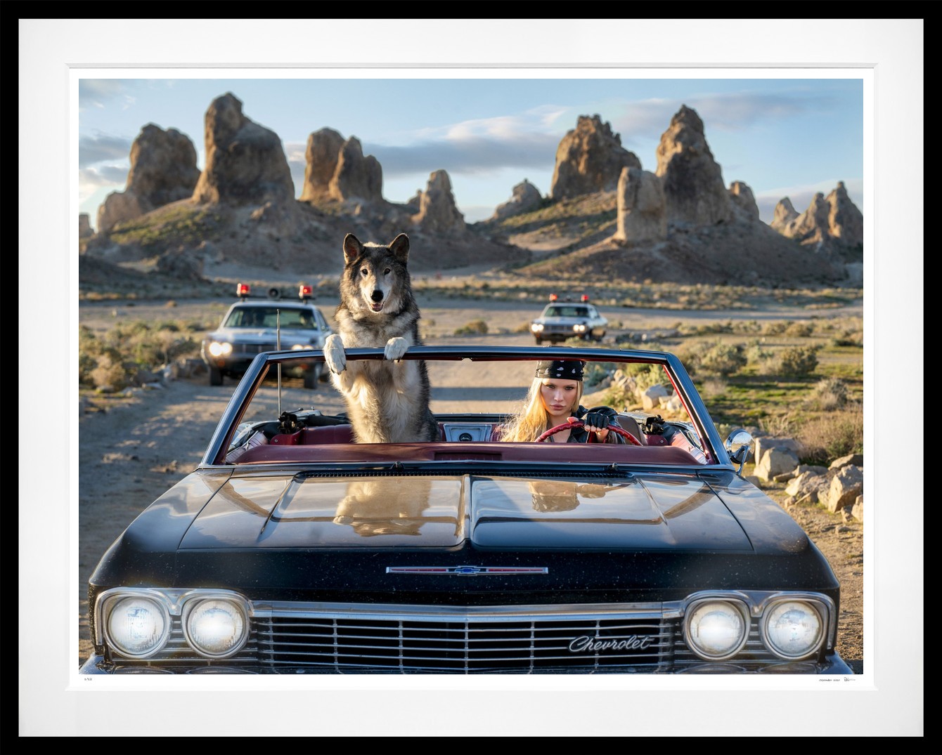 Vice (Colour) framed, 71" x 89" (Large)