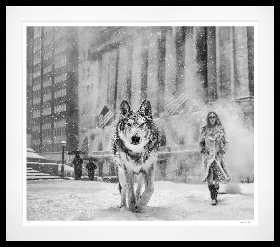 Wall Street Stories (B&W) framed, 71" x 81" (Large)