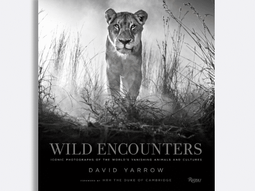 Wild Encounters